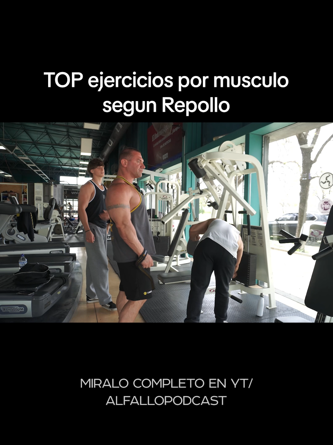 TOP ejercicios por musculo segun Repollo #gimnasio #gymrat #pesas #musculo #culturismo #entrenamiento
