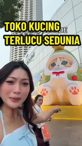 TOKO KUCING TERLUCU SEDUNIA 😭🐱🐈😻 Namanya MOFUSAND  #mofusand #fyp #catlovers 