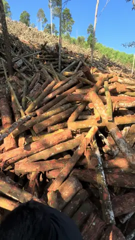 #CapCut #xuhuong #buon 🥹