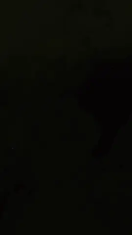 Hợp một cách lạ lùng á bây  #CapCut #medieval #jester 