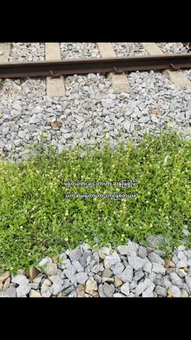 ဂေ့ မီ မုန့် ဖိုး😊#fyp 