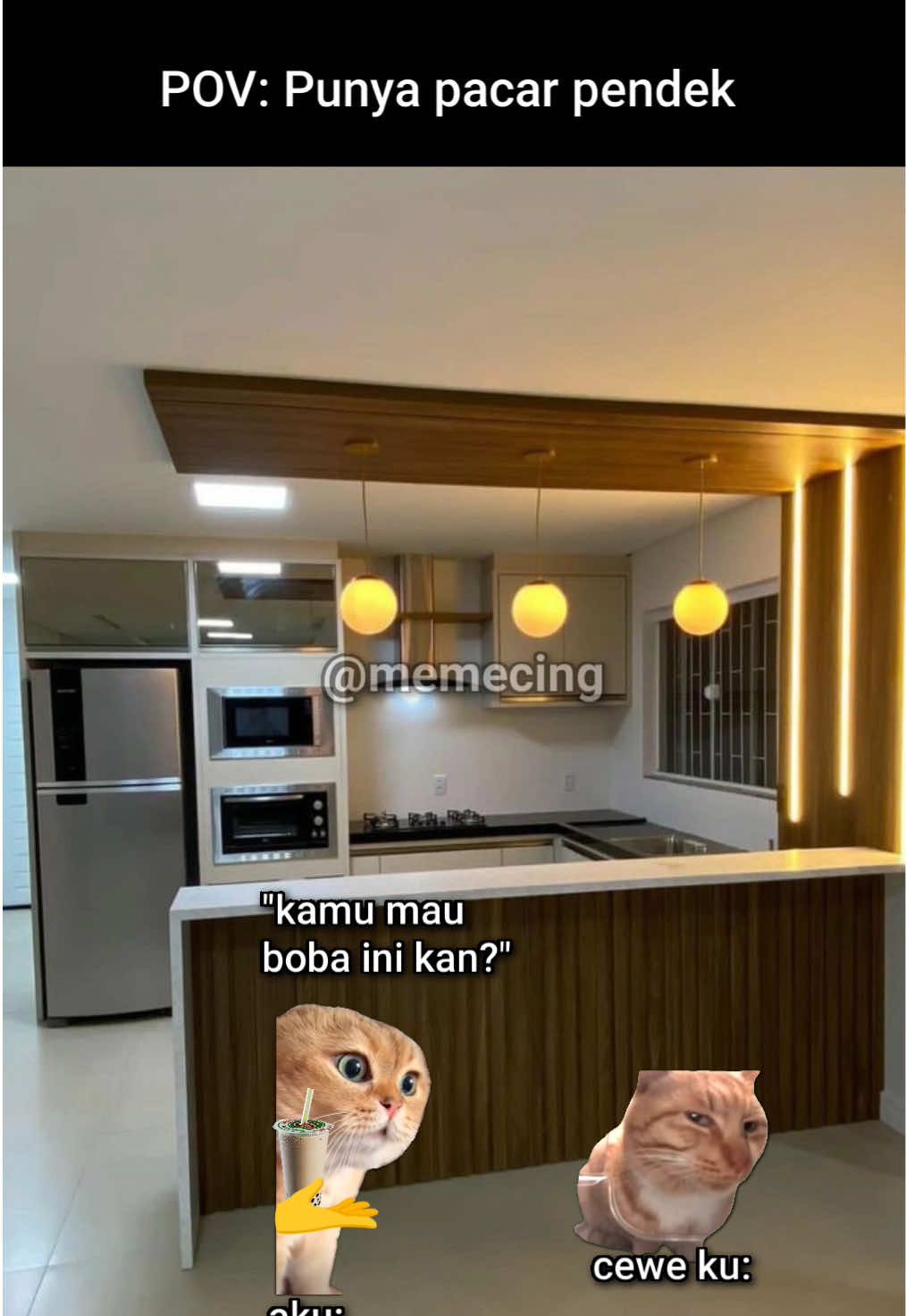 botol yakult ga tuh🤣 #meme #memekucing #kucinglucu #fyp #viral 