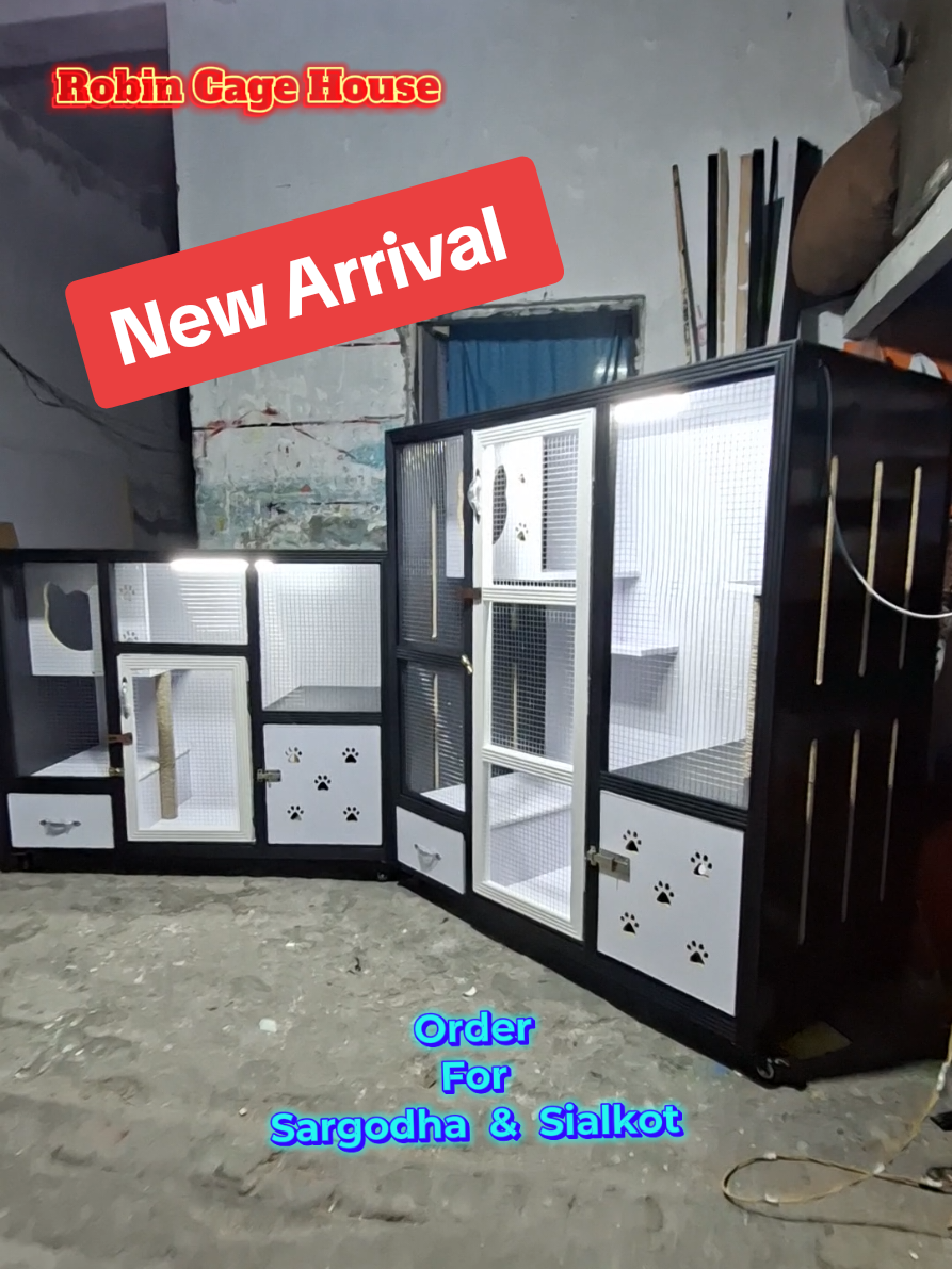Another Cat_House's For Sialkot & Sargodha City. ☎️0302 4064953  Call / WhatsApp Robin_Cage_House  #hardwork #fyp #cathouse #petlover #dispatch 