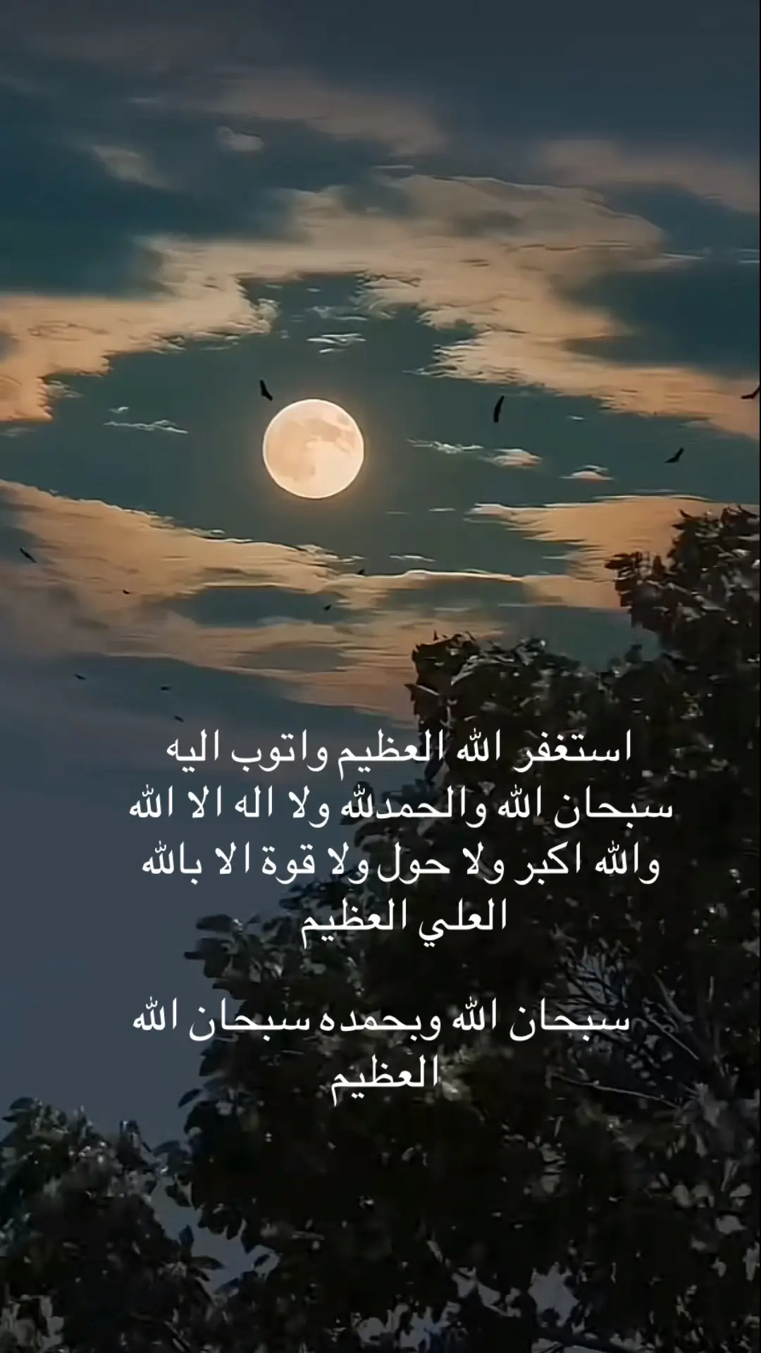 #سبحان_الله #oops_alhamdulelah #لاإله_إلا_الله #الله_اكبر #لاإله_إلا_الله_وحده_لا_شريك_له 