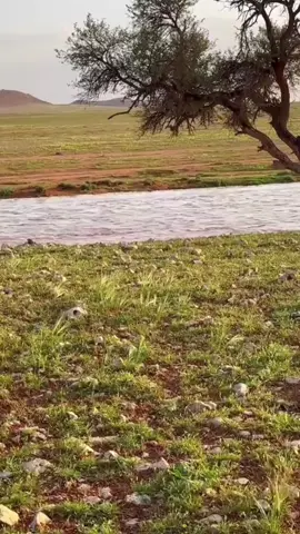 حسين فاخر والشاعر كرار الحاتمي #مشاهير #سعدي_الحلي #طرب #نجف #بغداد 