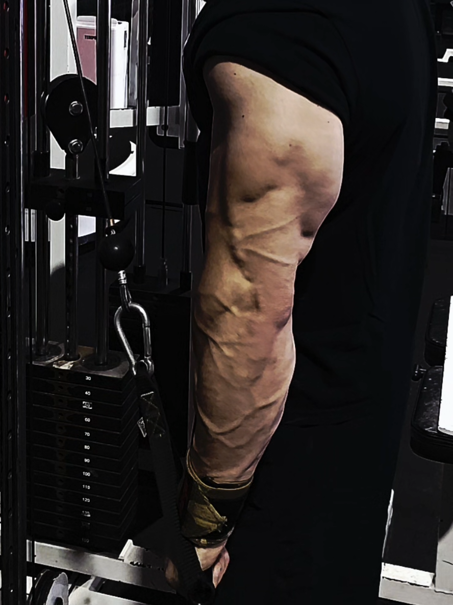 Most people want the results… just not the sacrifice. 💀 Success belongs to the ones who show up tired, broken, doubted — and grind anyway. Discipline beats talent every single time. #gym #GymLife #grind #bluecollar #fitover40 