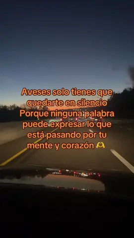 #LIVEIncentiveProgram #LIVEStory #PaidPartnership 