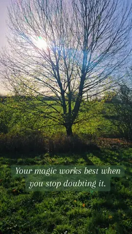 Feel the energy of this moment ✨️🍃  #witchtok  #mystictok  #spiritualtiktok  #naturalmagic  #spiritualguidance 