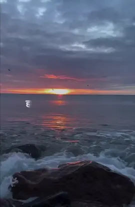 #viraltiktok #fypシ゚viral #ownvoicewithtemplate #♡♡♡♡♡♡❥❥❥❥❥ #fffffffffffyyyyyyyyyyypppppppppppp 