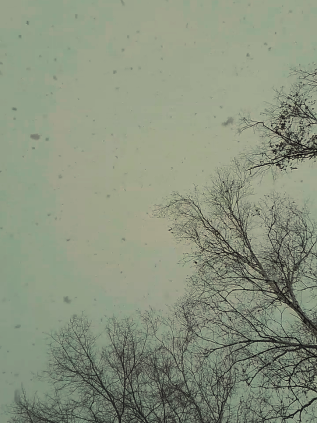 #27region #Вяземский #ночнойгород #завьюжило #рекомендации 