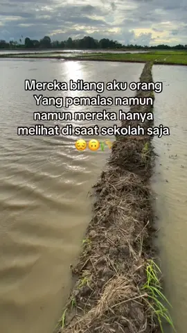 ☹️☹️#anakpetani #wijataupeddi #perintisbukanpewaris #katakata #fyp 