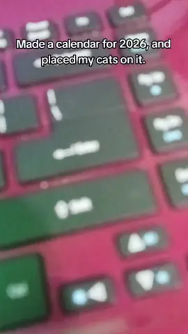 TANDUAY CALENDAR ❌ CAT CALENDAR ✅ y'all better print this calendar on A3 size paper😂 #fyppppppppppppppppppppppp #foryoupage #foryou #trending #cats 