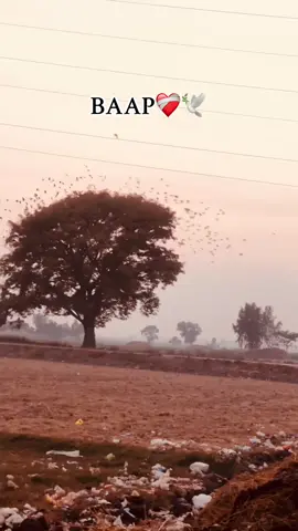 BAAP💯❤️‍🩹🥺#punjabilifestyle #deeplinespoetry🥀 #reposteveryone🙏🙏🙏 #پنجاب❤️‍ #پِنڈاں_آلے🥀👑 