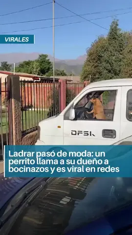 ya no wau ahora piiiii #flypviralシ #LIVEIncentiveProgram #GlowUpCetaphil 