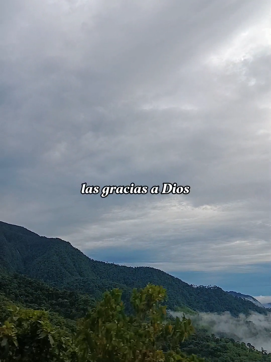 #YoledoygraciasaDios #🙏❤️ #ivancruz #fypシ゚ #letras 