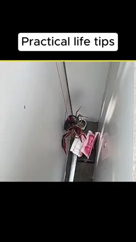 #tiktoklifehackscontest #tiktoksuperwishseason #lifetips #life #lifehacks  