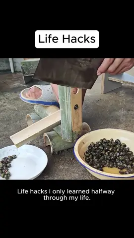 #tiktoklifehackscontest #tiktoksuperwishseason #life #lifetips #fyp 