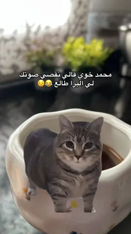 #Meme #MemeCut 😂😂😂🤍 #ليبيا🇱🇾 #اكسبلور #fyp 