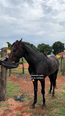 Hora triste viu kkkkkkk  #meme #viralvideo 