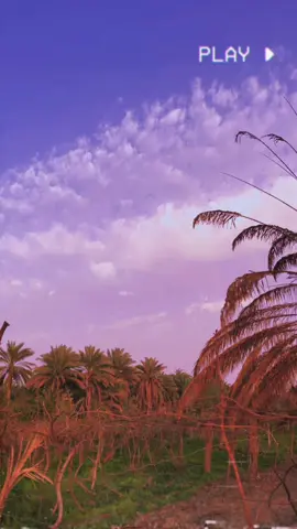 عجبتني الغنيه😅🤍.#هشتاكاتي_الترند_المشهوره #الشعب_الصيني_ماله_حل😂😂 #لعيون_الاصايل🥇🧿 #الشعب_الصيني_ماله_حل #صعدوني_اكسبلورر 