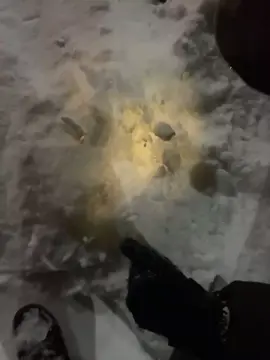 #снег #свет #мороз #сугробы 