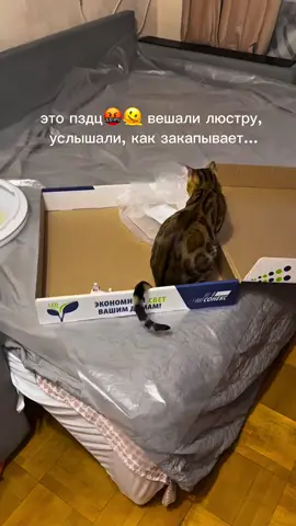 на стул, на диван стабильно нооо в люстру... это что за кошмар...