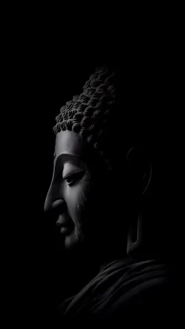 #loiphatday #thuyetphap #phatphapnhiemmau 