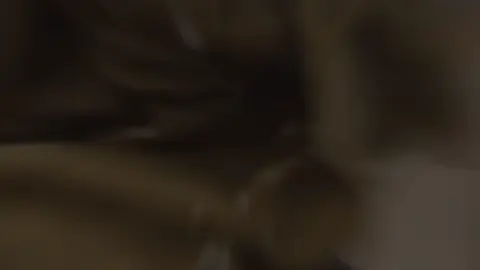 راجل امصنع من يومه 🔥👍🏻 . . . . . .................................................... #حسام_سالم_ابوالنجا #عيت_بوالنجا #مصمم_البادية #foryou #fyp 