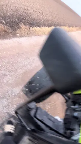 #classarion430#zmaj489 