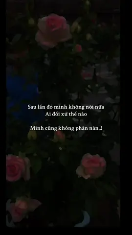 sau lần đó #nhacbuontamtrang #tamtrang_camxuc #tamtrangbuon #nhacbuonchill 