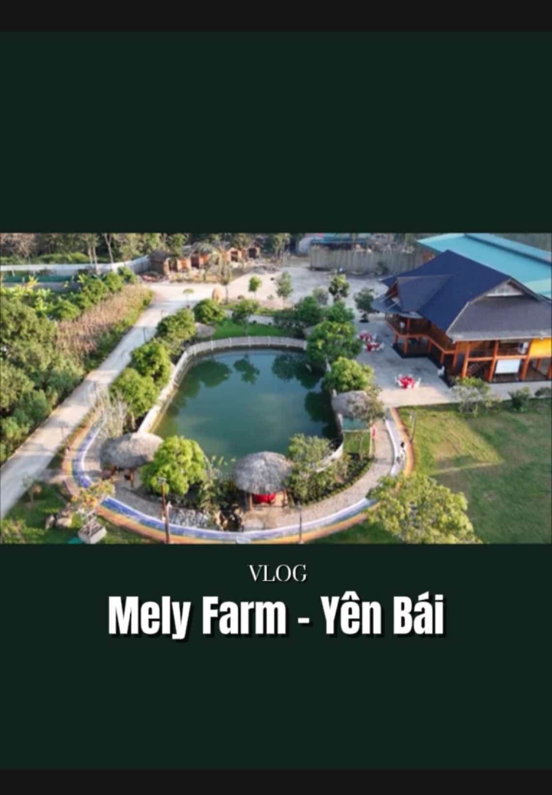Nhà ai ở Yên Bái cũng như này à mng… #cartied #MelyFarm 