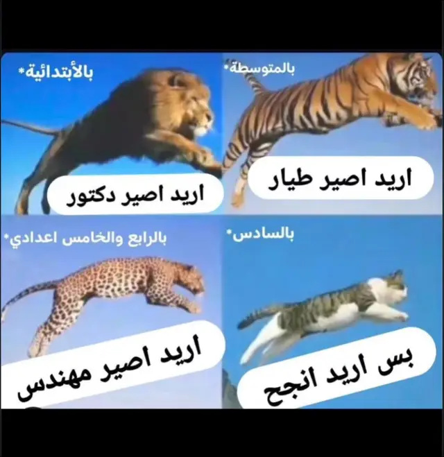 مو صح .   .   .   .      . . . . . . #الشعب_الصيني_ماله_حل😂😂 #العراق_السعوديه_الاردن_الخليج #مابيه_حيل_اخلي_هاشتاكات 