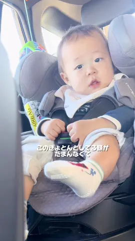 今日も癒しをお届け💘 後ろで騒がしいねぇねは平常運転です🤷🏻‍♀️笑 #9ヶ月ベビー #癒し動画 #fyp #赤ちゃんのいる生活 #かわいい 