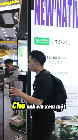 Mở mang tầm mắt với chiếc bể của pháp sư Tung Của #thuỷsinh #bểnuôicá #cachoithang #biotope 