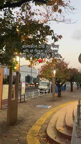 #creatorsearchinsights #OffBeatNep #trueline335 