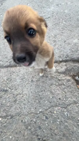 #рекхочу#реккесглш#рекомендации🤣🤣