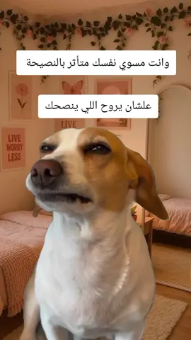 #Meme #MemeCut #CapCut #الشعب_الصيني_ماله_حل😂😂 #fopppppppppppppppppppppppppppppppppppppp 