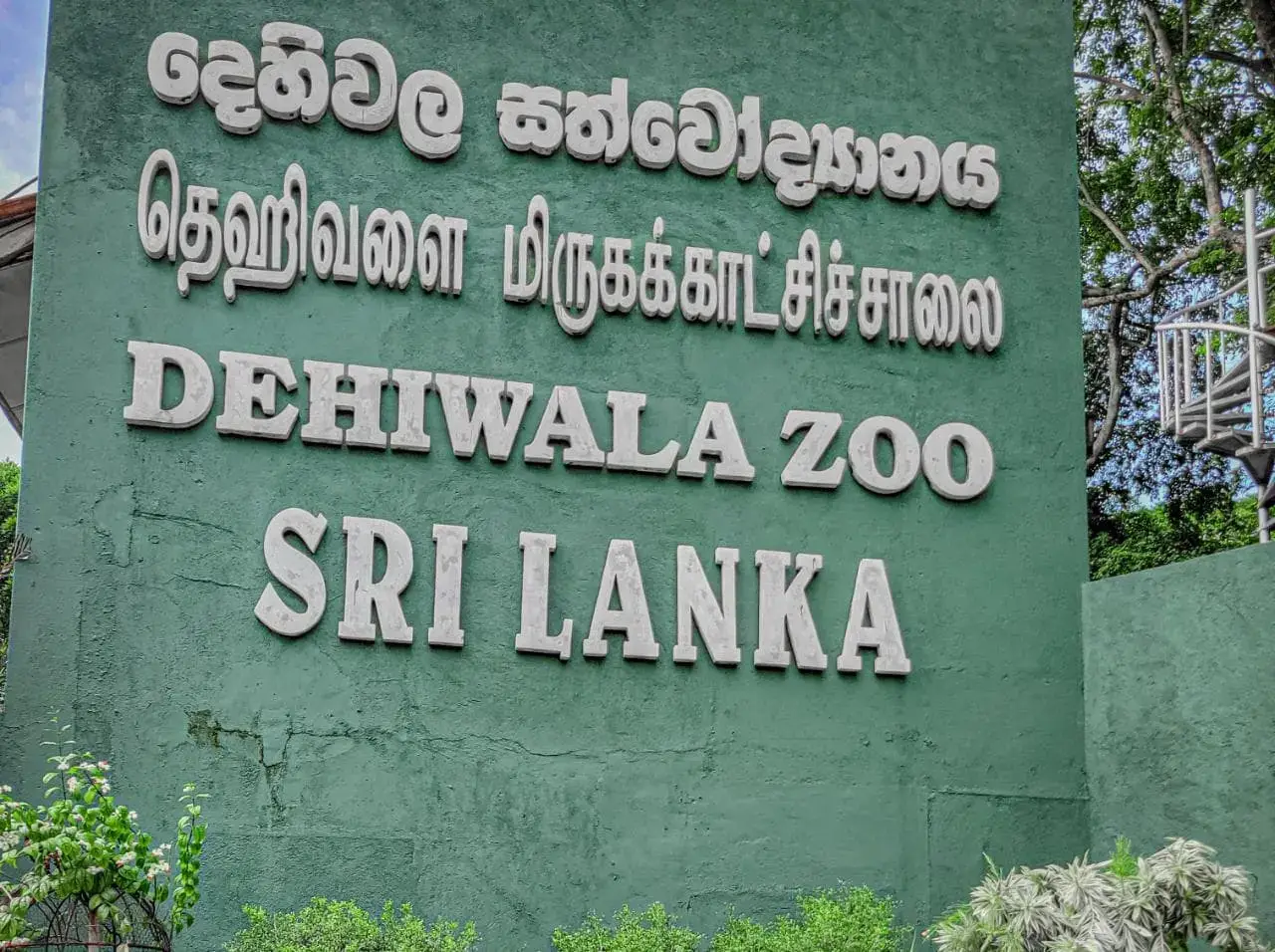 Dehiwala zoooo🥰