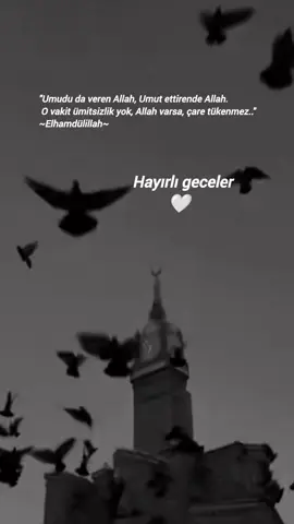 #geceyebirsözbırak #gece #hayırlıgeceler #umut #elhamdülillah 🤲🕋🤍