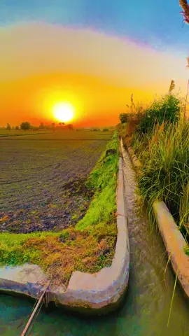 ❤️ #fouryourpage #villagebeauty #naturelover #100kviews 