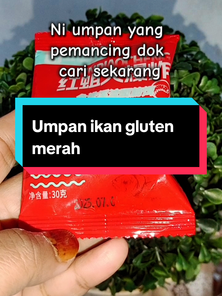 Sekali try, korang confirm repeat! #umpanikan #kakipancing #umpansungai #umpanpadu #pancing 