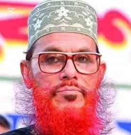 আবার কবে দেখা হবে #আল্লামা_দেলোয়ার_হোসেন_সাঈদী #foryoupage #viraltiktok 