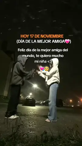 Hoy 17 de noviembre🥺💗🧸👑[FELIZ DÍA AMIGA]@🔰🦊 TU LOBITA 🦊🔰 #hoy17denoviembredíadelasamigas #etiqueta #dedicar #frases #viraltiktok 