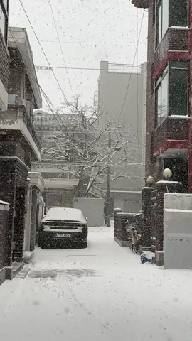Tuyết đầu mùa ở Seoul đã tới r saoo🥲 mùa yêu tới thật ròiii🙂↕️