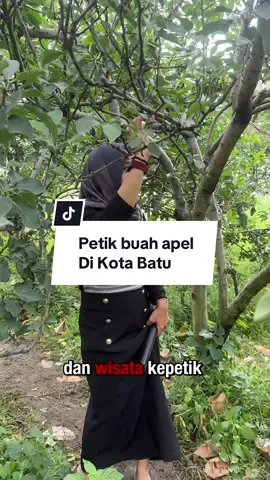 Aplikasi RedDoorz dapat mempermudah kamu utk booking hotel dgn harga miring😍 #redtravelers #RedDoorz #jelajahwisata #unforgettabletrip @RedDoorz Indonesia 