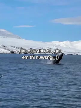 #xnhat09_ #tamtrang #fyp #phe18 #ctxhtiktok 