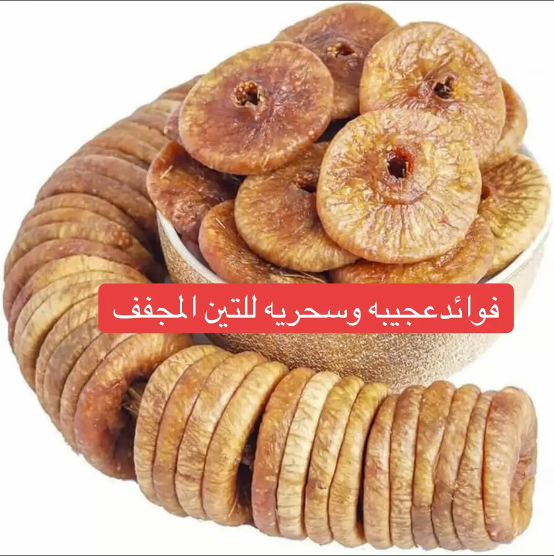 #قران_كريم #اللهم_صلي_على_نبينا_محمد #الشعب_الصيني_ماله_حل😂😂 #tiktok_india #100k 