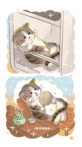 小猫：放松一下，歇息一下#萌宠出道计划 #神奇动物在抖音 