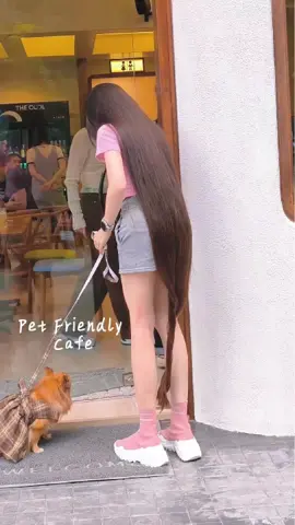 พาลูกบู้มาเที่ยว  @8days.cafe  #petfriendlycafe #petfriendly #คาเฟ่หมาเข้าได้ #รีวิวคาเฟ่เชียงใหม่ #คาเฟ่เชียงใหม่ 