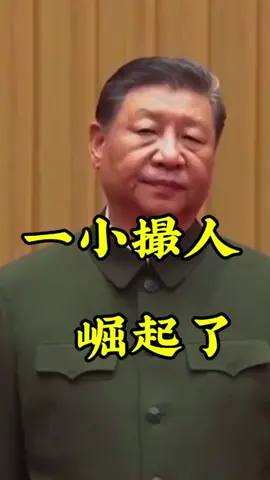 中国只是一小撮人崛起了#大陆#台湾#中華民國 #自由 #民主